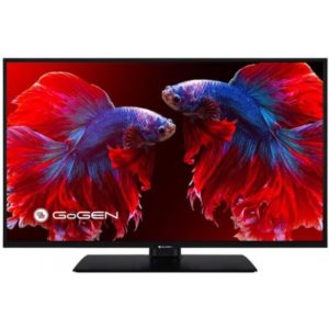 GoGEN TVF 22P406 recenze, cena, návod