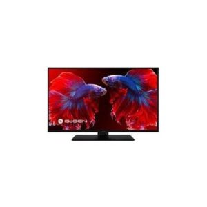 GoGEN TVF 22P406S recenze, cena, návod